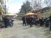 DSC00533.JPG
