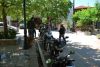 DSC_0011.jpg